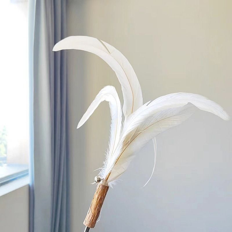 Pet Supplies Extra Long Rod Pheasant Feather/Ostrich Feather Wand Interactive Bell Cat Teaser Toy_voghion.com