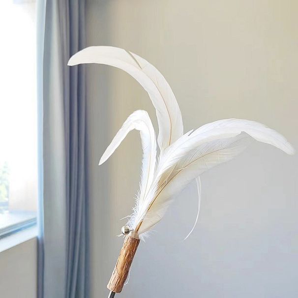 Pet Supplies Extra Long Rod Pheasant Feather/Ostrich Feather Wand Interactive Bell Cat Teaser Toy_voghion.com