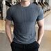 Men's Short-sleeved T-shirt Summer New Slim-fit Business Casual Fashion Versatile High-end Striped Crew Neck Bottoming Shirt_voghion.com