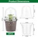 30Pcs Plant Nursery Pots PET Flower Seed Starting Pots Container With Dome With Drainage Holes_voghion.com