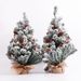 Flocked Christmas Tree Decorations With LED Lights – 50cm/55cm/60cm Mini Tabletop Tree For Holiday Home & Office Decor_voghion.com