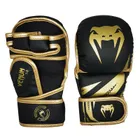 Martial Arts Equipment_voghion