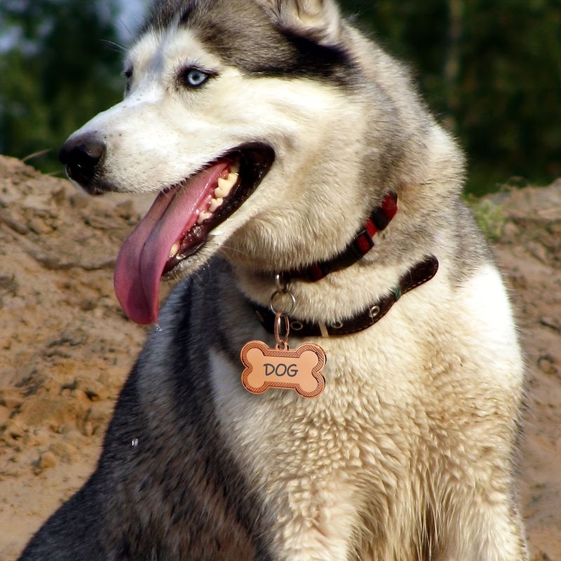 Personalized Dog ID Tags For Pets, Customized Engraved Dog Name Tags, ID Tags Alloy Pendant Tag For Dog Collars Cat Collar Perfe_voghion.com