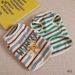 Cat Spring Breathable Striped Pet Thin Dog Clothes Bichon Teddy Summer Vest_voghion.com