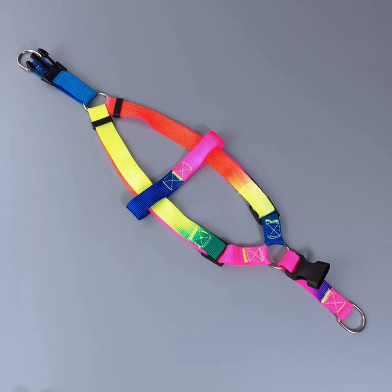 Collare per imbracatura colorato per gatti, guinzaglio da passeggio, orsacchiotto, catena per cani di piccola e media taglia_voghion.com