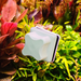 Strong Magnetic Suction Fish Tank Brush Tool Small Mini Glass Cleaning Algae Removal Scraper_voghion.com