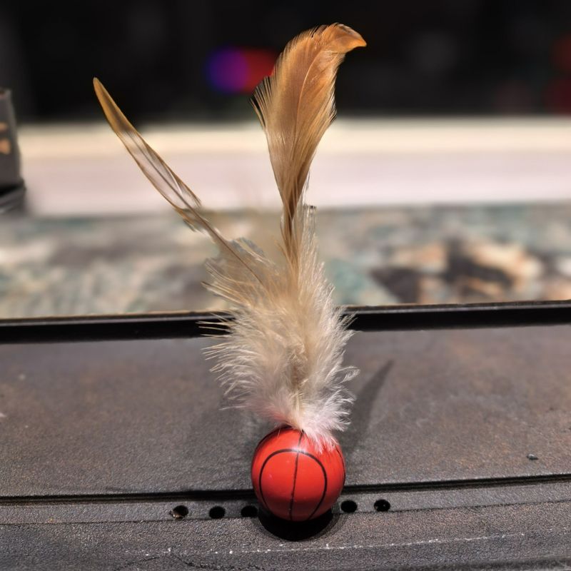 Nouveau modèle n° 32, jouet élastique à plumes, trois types, haute élasticité, pour chien, bâton pour chat, balle sautante en caoutchouc_voghion.com