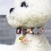 2021 New Pet Daisy Cat Cute Bell Dog Collar_voghion.com