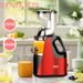 EU Standard Slow Juicer - Large Caliber Multi-Functional Household Juice Extractor 800W_voghion.com