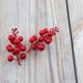 12 rametti di bacche in schiuma con filo per ghirlande natalizie e decorazioni per l'albero - Opzioni glitter oro/rosso/argento e vernice rossa_voghion.com