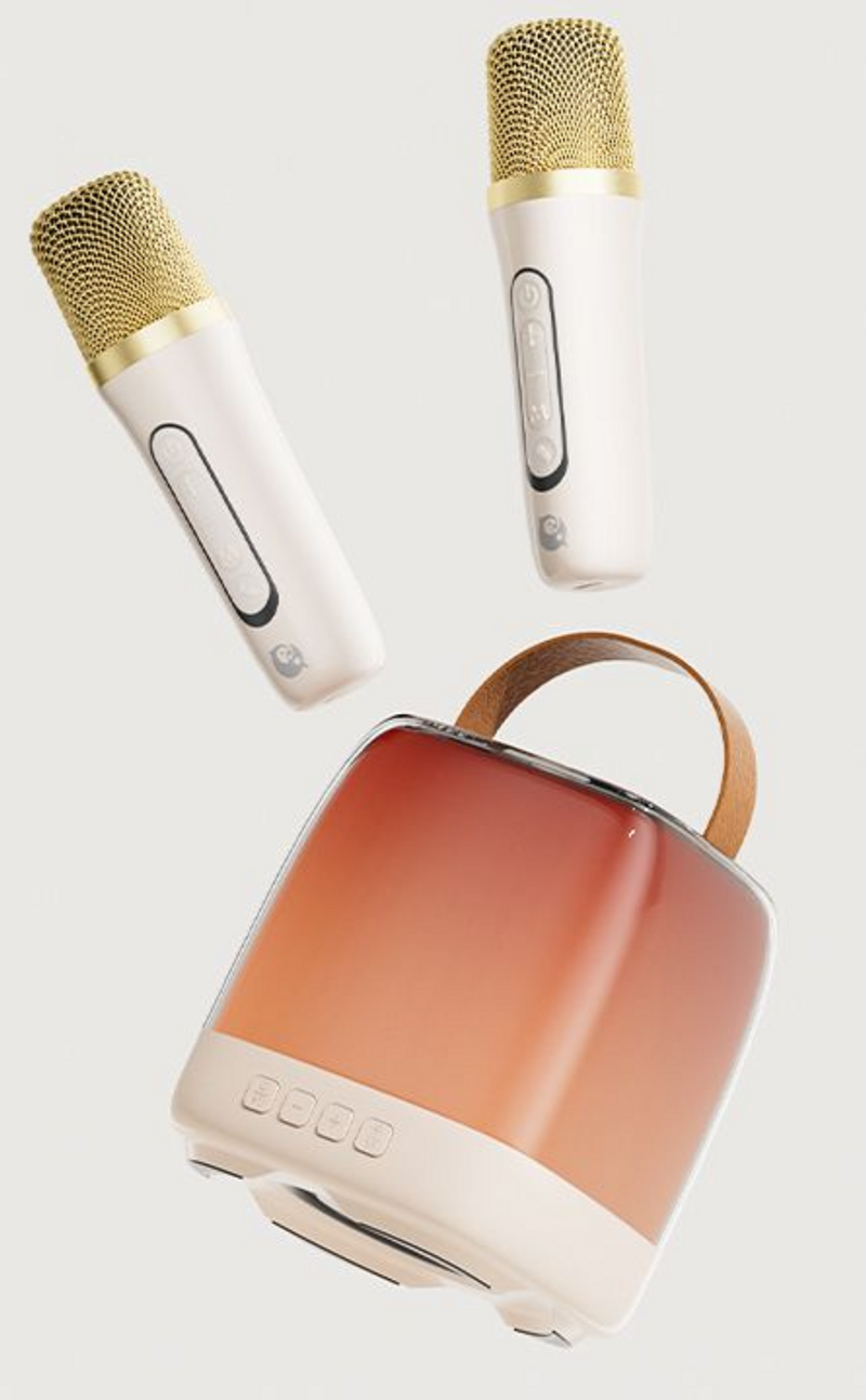 Enceinte K-Sing sans fil Bluetooth universelle MZ39, microphone de chant d'extérieur, pour karaoké à domicile_voghion.com