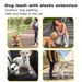 XMSJ Shock Absorbing Dog Leash By PawParty Store_voghion.com