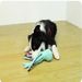 Dog Pet Plush Octopus Toy Interactive Sound Anti-demolition Home Large And Small Dog Boredom Companion Toy_voghion.com