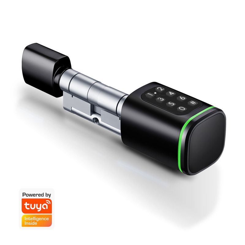 Graffiti intelligent APP card swiping anti-theft door fingerprint password replacement lock cylinder modification_voghion.com