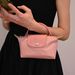 Dumpling Handbag Mini Coin Cell Envelope Crossbody_voghion.com