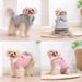 Autumn Winter Cat Bow Clothes For Small Medium Cats Warm Cat Costume With D-ring Kitten Clothing Sphynx Vest Coat Pet Outfits_voghion.com