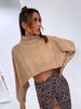 Women's turtleneck pullover sweater autumn and winter cape style small blouse_voghion.com