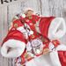 New Year festive red envelope lucky cat skirt dog winter thickened clothes pet teddy bear small dog winter clothes_voghion.com