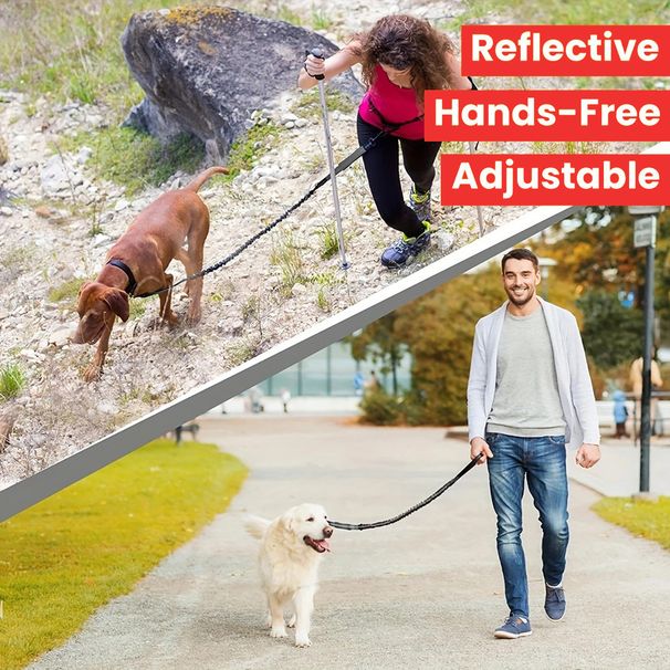 2025 New Large Medium Cat Explosion-proof Lightweight Dog Leash Essential_voghion.com
