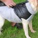 CDDMPET Waterproof Vest Jacket For Dogs By PawParty Store_voghion.com