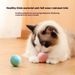 Neu Automatische Vermeidung Jump Ball Katze Selbst Hallo Interaktive Haustier_voghion.com