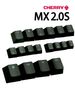 Cherry Mx2.0s Key CAP Trasparente Singolo Nical Tastiera Tappo Altezza Originale Spazio ESC_voghion.com