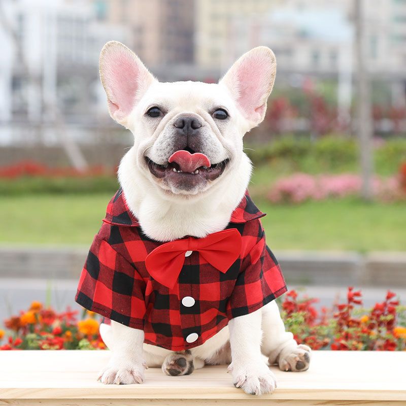 Pet Shirt Suit Dress French Bulldog Pug Small Medium Large Dog Clothes Cat Spring Summer Autumn Supplies_voghion.com