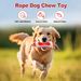 New Pet Toy Dog Chew Hide Food Stick Durable For Small And Medium Dogs Teeth Cleaning Boredom Relief Play_voghion.com