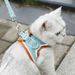 Pet Harness Small Vest Style Dog Leash Walking Rope Cat Supplies Breathable Reflective_voghion.com