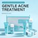 Tea Tree Salicylic Acid Skincare Set_voghion.com
