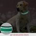 Dog Reflective Strap With Safe Nylon Collar, Adjustable Pet Leash, Suitable For Small And Medium Pets By PawParty Store_voghion.com