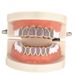 Vampire Hip Hop Gold Hosenträger Rose Rot Micro Intarsien Zirkon Vergoldet Grillz Hip Hop Gold Hosenträger_voghion.com