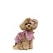 Vestito estivo da principessa con maniche a palloncino in pizzo per animali domestici 2025 per cani e gatti Teddy Bichon, vestiti sottili + copricapo_voghion.com