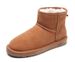 Designer Snow Boots Women Tasman Platform Boot Tazz Slide Bow Ribbon Ultra Mini Slipper Chestnut Men Shoes Womens Winter Ankle Booties Australia_voghion.com