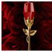 Di Xianger Red Rose Damenparfüm Lang anhaltender Duft Frischer Blumenton Qixi Geburtstagsgeschenk_voghion.com