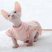 Winterwarme Katzenkleidung, weiche Baumwoll-Hoodies für Katzen, Kostüme für Sphynx-Nacktkatzen, Pullover, Sphinx-Kätzchenkleid, Jacke für Katzen_voghion.com