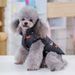 Pet clothes dog cotton-padded vest autumn and winter New Puppy cotton vest Teddy warm clothing manufacturers_voghion.com