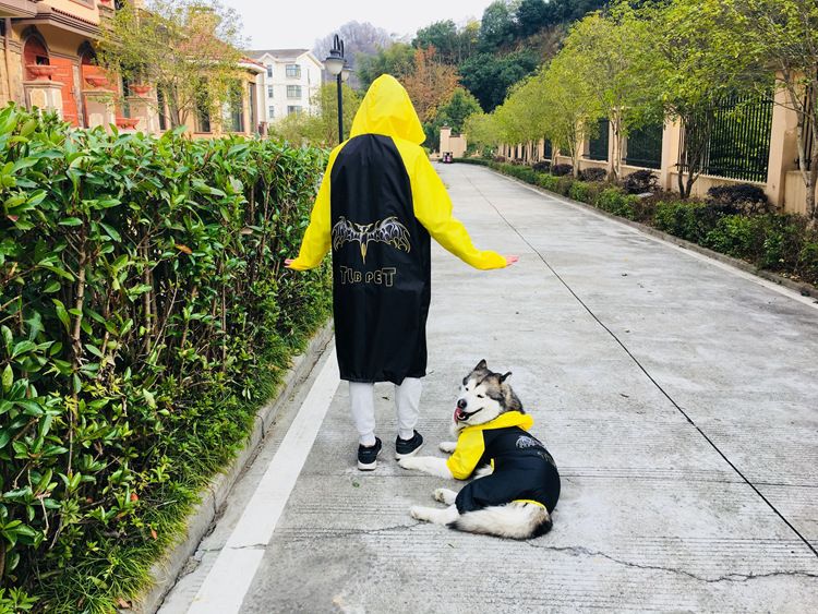 Impermeabile TLB per genitori e figli, taglia grande, a quattro punte, per cani Golden Retriever, Alaskan Malamute, Husky e Samoiedo_voghion.com