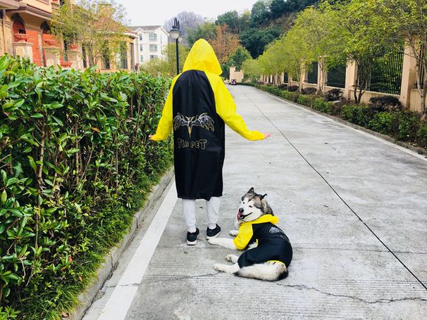 Impermeabile TLB per genitori e figli, taglia grande, a quattro punte, per cani Golden Retriever, Alaskan Malamute, Husky e Samoiedo_voghion.com