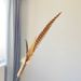 Pet Supplies Extra Long Rod Pheasant Feather/Ostrich Feather Wand Interactive Bell Cat Teaser Toy_voghion.com