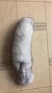 New CFA Competition Level Wand Self-Entertainment Artifact Blue Fox Tail Toy Cat Teaser Educational_voghion.com