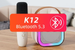Mini enceinte Bluetooth karaoké sans fil pour enfants avec microphone intégré K12_voghion.com