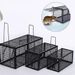 Selbstsichernder Fallenfänger, Mäuse, Rattenköder, Mäuse, Lebendbox, Mäusefalle, Käfig, Haushalts-Mäusefänger, Tierkontrolle, Hamster, Eisenkäfig_voghion.com