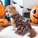 2024 Nuovo Halloween Pet Dog Clothes Zucca Pipistrello Ali Luminose Vestito_voghion.com