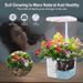 Pametni stroj za sadnju, sadnja sobnih biljaka, svjetlo punog spektra, sadnja povrća, kreativni poklon, poklon_voghion.com