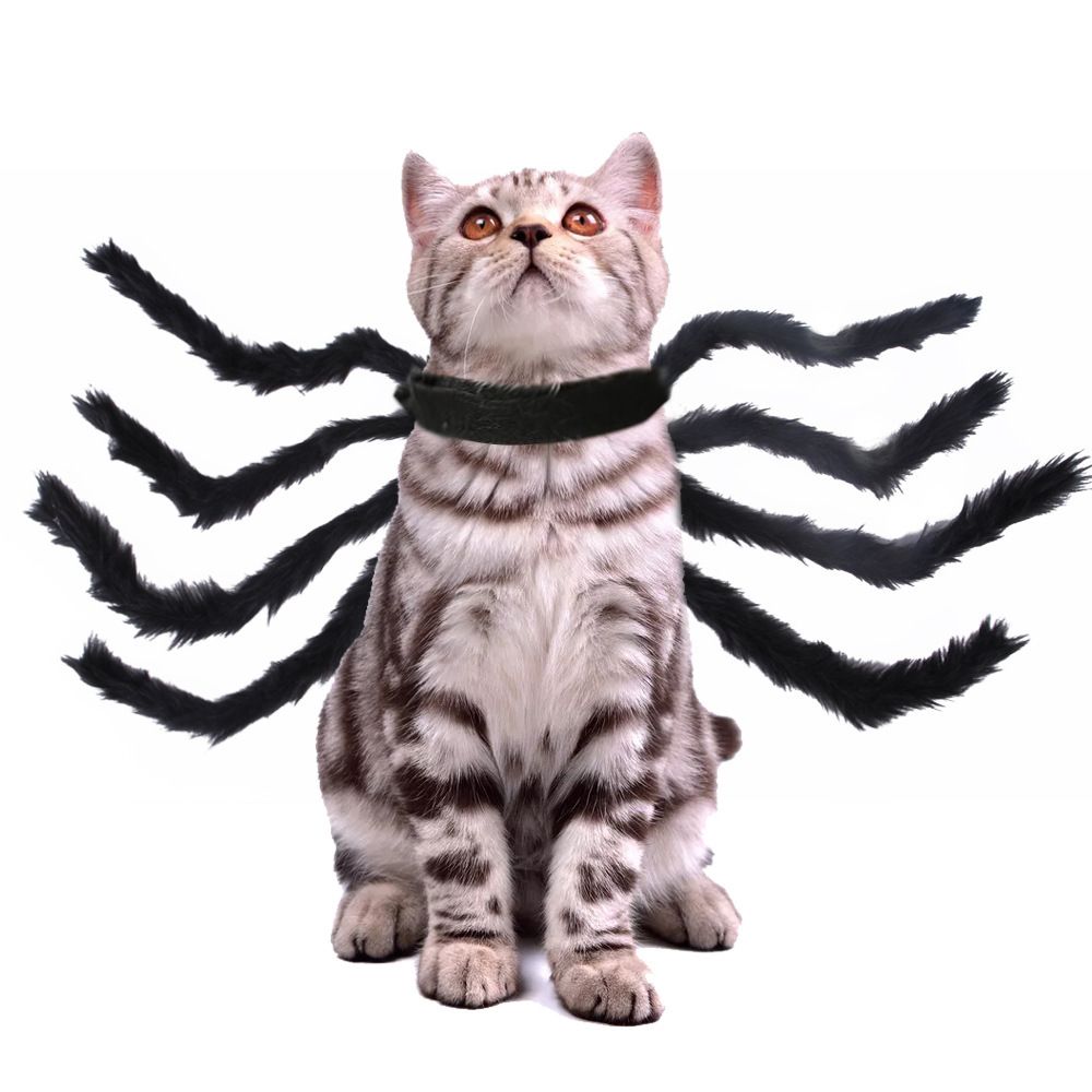 Unisex Pet Halloween Christmas Chest Back Creative Cat Dog Small Dog Spider Costume_voghion.com