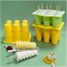 Popsicle Maker Tray Spiral Ice Cream Mold Homemade Silicone Popsicle Mould BPA Free Ice Pop Molds Reusable Kitchen Supplies_voghion.com