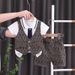 Boys Summer Suit Boys Handsome Pullover Short Sleeved Two Piece Suit Stylish Children Baby Dress Suit_voghion.com