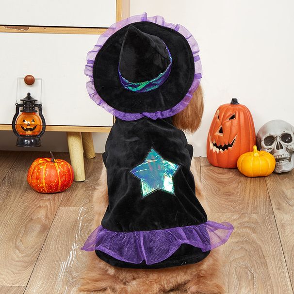 2025 New Wizard Transformation Costume Halloween Clothes Pet Cat Dog Apparel_voghion.com