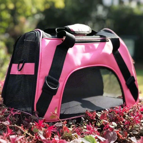 Katzen- und Hundetransportbox für unterwegs, tragbar, handlich, groß, atmungsaktiv, Rucksack, Käfig, Reisebox_voghion.com